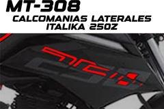 CALCOMANIAS LATERALES 250 Z 2022 250z