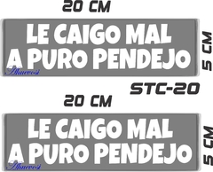 CALCOMANIAS REFLEJANTES LE CAIGO MAL - Ahuevosi