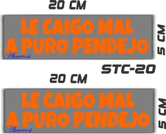 CALCOMANIAS REFLEJANTES LE CAIGO MAL