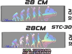 CALCOMANIAS REFLEJANTES EVOLUTION BIKER