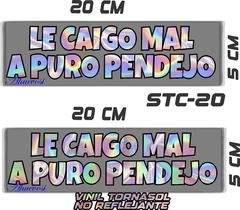 CALCOMANIAS REFLEJANTES LE CAIGO MAL