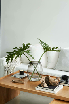 FLORERO MOOREA GREY en internet