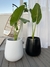 Maceta de fibra de vidrio 50x36cm - comprar online