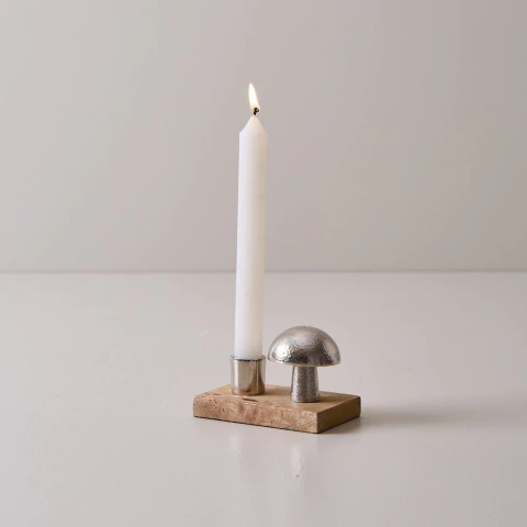 Candelabro fungus - comprar online