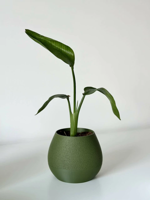 Vaso Twist | Modernidade e elegância em 3D - comprar online