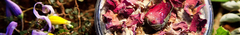 Banner da categoria Máscara, Esfoliante e Limpador Facial