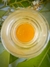 NOVO - SÉRUM BOTÂNICO OIL FREE GEL - ROSAS/HERBAL/CAMOMILA - Água Termal, Ácido Hialurônico, Algas, Ervas, Flores e Raízes + muitos ativos naturais! - loja online
