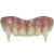 Prop Dientes Hammer Horror - Vampire Bride (DETALLES EN PINTURA) en internet