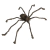 Araña Patona
