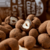 Castanha de Caju com Chocolate 72% Cacau - comprar online