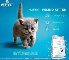 NUPEC FELINO KITTEN