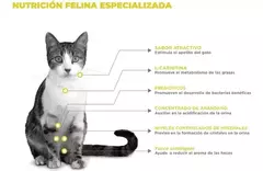 NUPEC FELINO URINARY MANAGEMET - comprar en línea