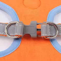 Imagen de Conjunto de arnés y correa ajustable para perro y gato