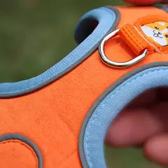 Conjunto de arnés y correa ajustable para perro y gato - Veterinaria Bichos Company