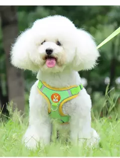 Conjunto de arnés y correa ajustable para perro y gato - comprar en línea
