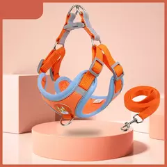 Conjunto de arnés y correa ajustable para perro y gato - comprar en línea