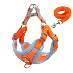 Conjunto de arnés y correa ajustable para perro y gato en internet