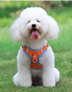 Conjunto de arnés y correa ajustable para perro y gato