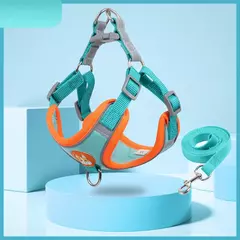 Conjunto de arnés y correa ajustable para perro y gato