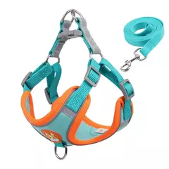 Conjunto de arnés y correa ajustable para perro y gato en internet