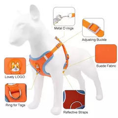 Conjunto de arnés y correa ajustable para perro y gato - Veterinaria Bichos Company