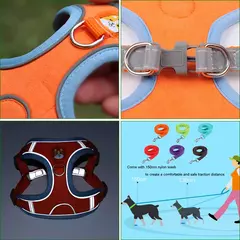 Conjunto de arnés y correa ajustable para perro y gato - tienda en línea