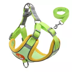 Conjunto de arnés y correa ajustable para perro y gato - Veterinaria Bichos Company