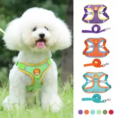 Conjunto de arnés y correa ajustable para perro y gato