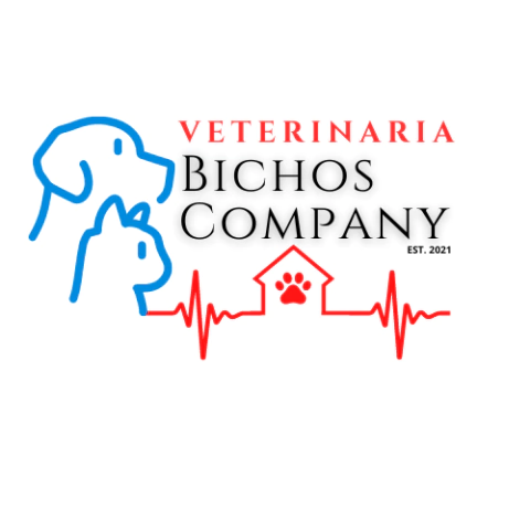 Veterinaria Bichos Company