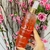 BODY SPLASH (MISSCARE) - 200ML - Menina Tendência