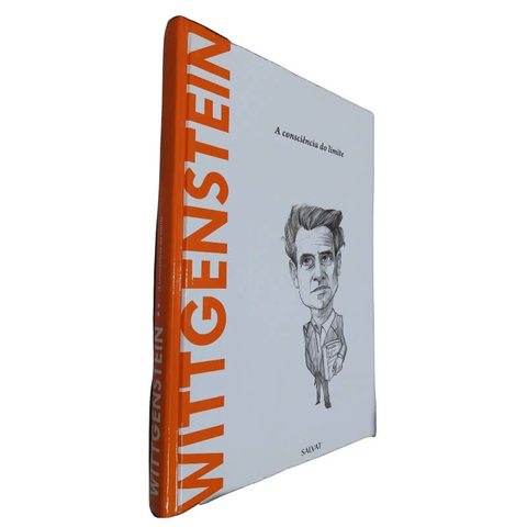 Livro Físico Coleção Descobrindo a Filosofia Volume 11 Wittgenstein Carla Carmona A Consciência do Limite