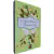 Livro Físico Mansfield Park Jane Austen Brochura Pé da Letra