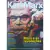 Revista Coleção Guias de Filosofia Volume 3 Karl Marx Marx e as Revoluções - comprar online
