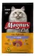 Magnus Cat Adulto Castrado Carne 10,1kg