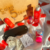 kit 5 sentidos - comprar online