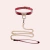 Coleira Bondage E Correte Guia Vermelho - comprar online