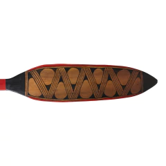Indigenous Paddle - Mehinaku on internet