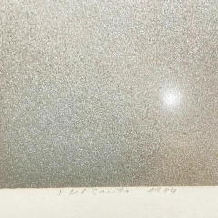 Dionísio Del Santo - Serigrafia 1/1 - Assinada - 70 x 50 cm na internet