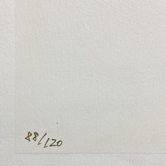 Kazuo Wakabayashi - Serigrafia - Arve