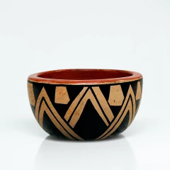Indigenous Ceramics - Waujá on internet