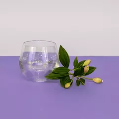 Copos | Cristal - comprar online