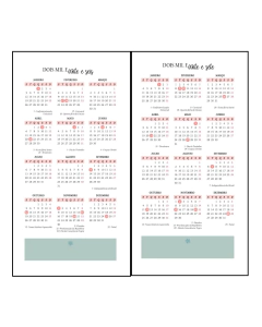 Planner 2026 Slim - Color na internet