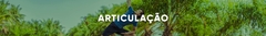 Banner da categoria Articulação