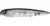 Isca Artificial River2sea Rover 98 - 12,5g - loja online