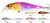 ISCA ALBATROZ MATRIX Slow Floating SF65 - 6,5cm 5,1gr