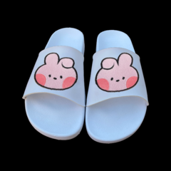 BT21 Minini slippers en internet