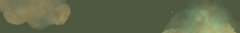 Banner da categoria Espelho Orgânico