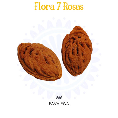 FAVA EWA