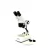 Microscopio Estereoscopio Binocular (Lupa) Led Bivolt Cral