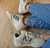 Tênis velcro adidas premium - comprar online